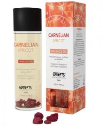 Exsens Of Paris Organic Massage Oil Carnelian Apricot with Stones - TCN-7757-26