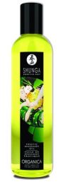 Shunga Organica Erotic Massage Oil Exotic Green Tea 8oz - SH1100