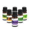 6-Bottle Therapeutic Aromatherapy Essential Oils - Multi-Color
