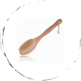 Bath / Body / Massage Brush - Default Title