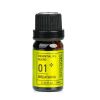 NATURAL BEAUTY - Stremark Essential Oil Blend 01- Breathing E1B1024A2 10ml/0.34oz - As Picture