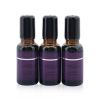 BEAUTY EXPERT - Massage Essential Oil 581011 3x18ml/0.6oz - As Picture