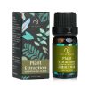 NATURAL BEAUTY - Essential Oil Blend - Plant Extraction E1F1024A 10ml/0.34oz - As Picture