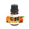 6-Bottle Therapeutic Aromatherapy Essential Oils - Multi-Color