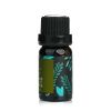 NATURAL BEAUTY - Essential Oil Blend - Plant Extraction E1F1024A 10ml/0.34oz - As Picture