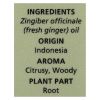 Aura Cacia - Essential Oil - Fresh Ginger - 0.5 oz. - 1830678