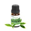 6-Bottle Therapeutic Aromatherapy Essential Oils - Multi-Color