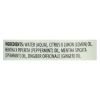 Aura Cacia - Aromatherapy Mist Ginger Mint - 4 fl oz - 0455410