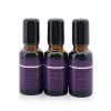 BEAUTY EXPERT - Massage Essential Oil 581011 3x18ml/0.6oz - As Picture